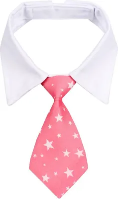 Image de Gentledog cravate pour chien rose taille S