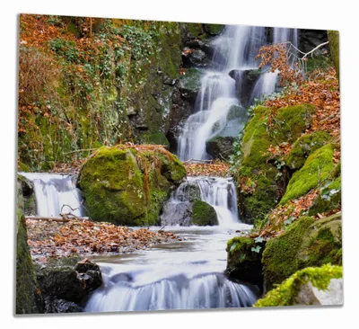 Produktbild von Wallario Herdabdeckplatte aus Glas, Größe 60 x 52 cm 1-teilig, Motiv Bach im Wald