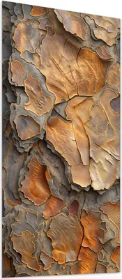 Produktbild von Glasbild 55x110cm in XXL für Wohnzimmer, Schlafzimmer Motiv Rinde Struktur Formen
