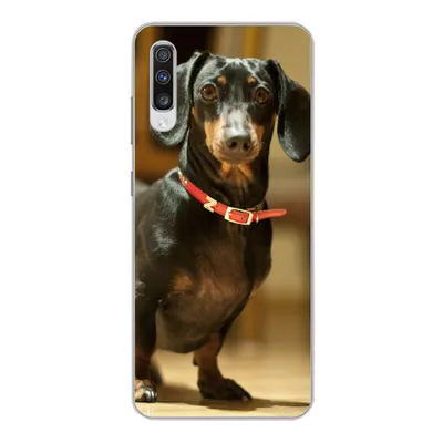 Produktbild von MuchoWow® Handyhülle Schutzhülle Hülle für Samsung Galaxy A70 Porträt eines schwarzen Dackels Silikon Softcase Handy Hülle - Schutzhaube