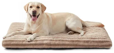 Immagine prodotto di Cuccia per cani, 90x60x9 cm, marrone, lavabile, morbida, ortopedica, antiscivolo