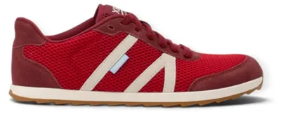 Produktbild von Schuhe Xero Shoes Wynn WYNWSARDW