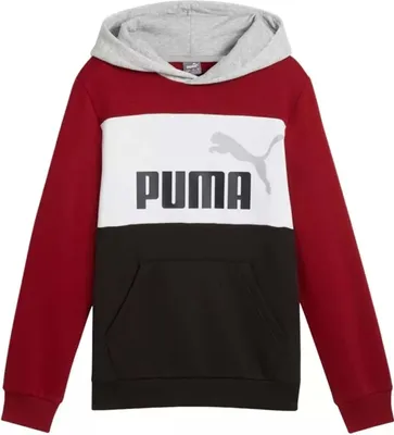 Produktbild von Hoodie Puma 679717-13 für Kinder