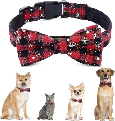 Produktbild von Festliches Tier Halsband mit Schneeflocken, Haustierhalsband für Weihnachten, Rot - DOGICOLLAR