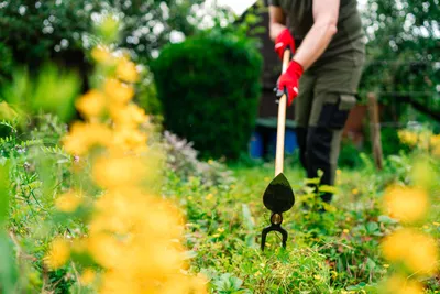 Produktbild von KOX Gartenhacke Herzblatt, 2 Zinken