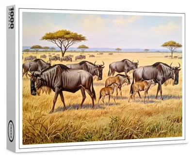 Image de Puzzle Raxxa Premium « Un troupeau de gnous en Afrique avec leurs petits », 1 000 pièces