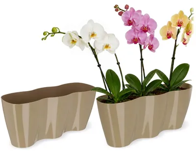 Obrázok produktu pre KADAX kvetináč "Fermo", kvetináč, plastový kvetináč, kvetináč, béžový, 35 cm
