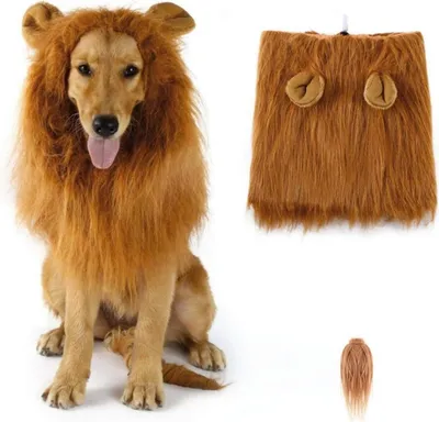 Produktbild von Löwenmähne Hund Kostüm Halloween Party Festival