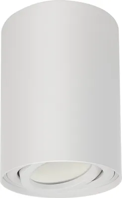 Produktbild von Stropní svítidlo pro povrchovou montáž s paticí GU10 pro LED a halogenové žárovky do 40 W Povrchová montáž Otočné hliníkové svítidlo bílé, 1 kus Kulaté