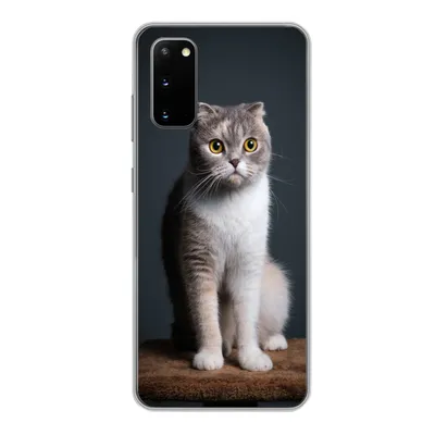 Produktbild von MuchoWow® Handyhülle Schutzhülle Hülle für Samsung Galaxy S20 Katze - Haustiere - Licht Silikon Softcase Handy Hülle - Bild