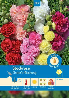 Artikelbild 1 von 'Stockrosen Chater's Mischung' aus der Kategorie Stockrosensamen
