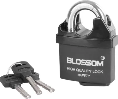 Immagine prodotto di Lucchetto Blossom LS0506, 60 mm, di sicurezza