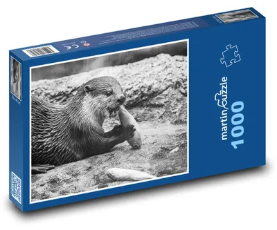 Obrázek produktu pro Puzzle 1000 Vydra si pochutnává na rybě - martinpuzzle