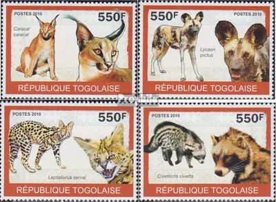 Produktbild von Briefmarken Togo 2010 Mi 3459-3462 (kompl.Ausg.) postfrisch Raubtiere