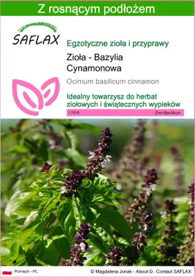 Zdjęcie produktu dla SAFLAX - Zioła - Bazylia Cynamonowa - 200 Nasiona - Z podłożem uprawowym wolnym od zarazków - Ocimum basilicum cinnamon