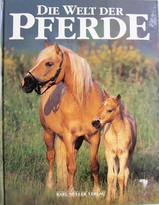 Produktbild von Die Welt der Pferde | kolektiv