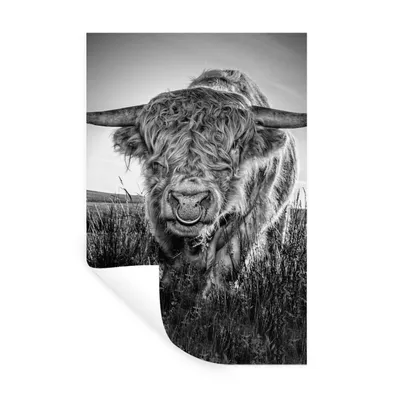 Produktbild von MuchoWow® Wandtattoo Wandsticker Wandaufkleber Schottischer Highlander - Schwarz und Weiß 20x30 cm Selbstklebend und Repositionierbar - Sticker - Dekorfolie