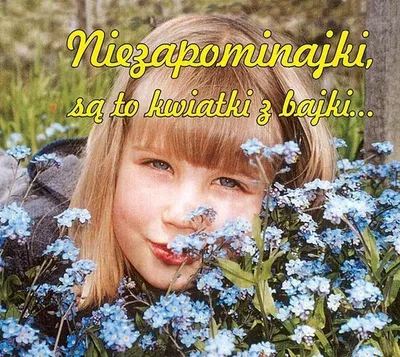 Produktbild von Niezapominajki są to kwiatki z bajki - (Kinder, Gedichte auf Polnisch)