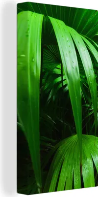 Produktbild von MuchoWow® - Leinwandbilder - Palmenblätter im Dschungel, Wandbild, Wanddeko Bilder Wohnzimmer, 40x80 cm