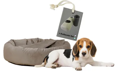 Produktbild von Hundekissen 2 in 1 Kuschelhöhle Denver Samt S-M-L mit Hundekotbeutelset, Farbe:taupe, Größe:M