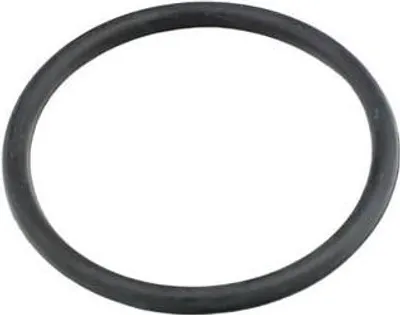 Produktbild von FAST Dichtung Thermostat FT49920 für FORD Transit Mk6 Kasten (V347, V348, FA)