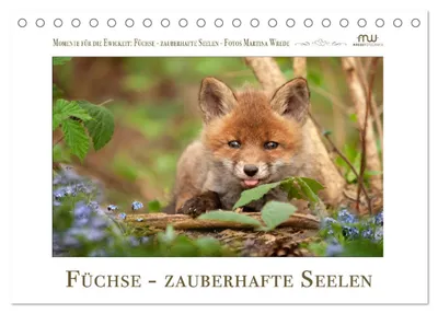 Produktbild von Füchse - zauberhafte Seelen (Tischkalender 2027 DIN A5 quer), CALVENDO Monatskalender