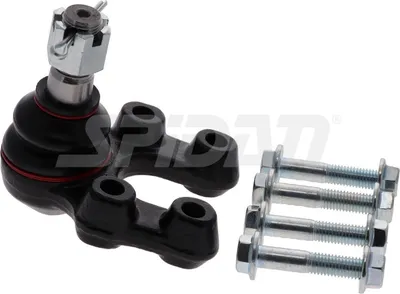 Produktbild von SPIDAN CHASSIS PARTS Traggelenk Vorne Unten für NISSAN Cabstar (F24M, F24W) 58568