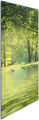 Produktbild von Wallario Flurgarderobe Wandgarderobe aus Glas, mit 7 Haken, Größe 50 x 125 cm, Motiv Idyllischer See im Wald bei Sonnenschein