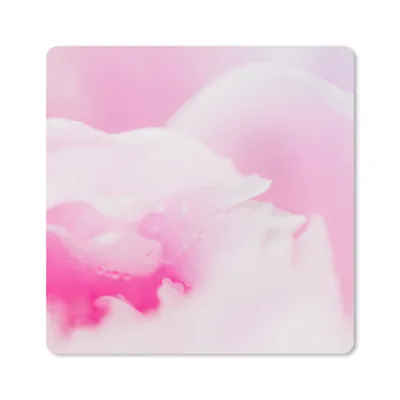 Produktbild von MuchoWow® Mauspad Mousepad Nahaufnahme der Blütenblätter der rosa Pfingstrose 20x20 cm - Mousepads - Maus Mat - Pad - Mausunterlage - Desk Mat - Bureauartikeln