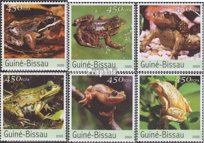 Produktbild von Briefmarken Guinea-Bissau 2003 Mi 2458-2463 (kompl.Ausg.) postfrisch Froschlurche