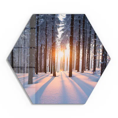 Produktbild von DEQORI Glasbild Echtglas 55x48 cm 'Abendsonne im Winterwald' Wandbild Bild modern Deko
