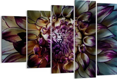 Produktbild von Bild auf Leinwand - Leinwandbild - 5 Teile - Blätter Agave Blume - 150x100cm - Wand Bild - Wanddeko - Wandbilder - Leinwanddruck - Bilder - Wanddekoration - Leinwand bilder - Wandbild - EG150x100-5122