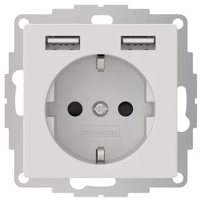 Produktbild von Schutzkontakt-Steckdose 2USB inCharge Pro, 2x USB, 2,4 A, reinweiß matt