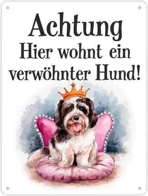 Produktbild von Achtung - verwöhnter Hund Metallschild XL in 21x28 cm