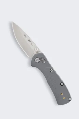 Image de Couteau pliant Buck Knives Mini Range Pro, couleur gris