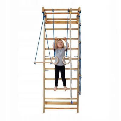 Produktbild von Kletterwand Basic Turnwand mit Klimmzugstange Turnringen Kletterseil, KI-generiertes Bild