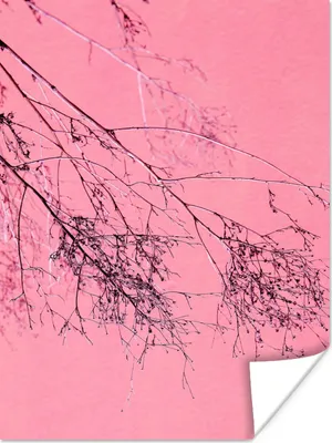 Produktbild von MuchoWow® Poster Blumen - Zweige - Sommer 120x160 cm - Wandbilder