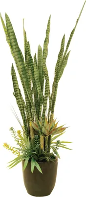 Produktbild von EUROPALMS Sukkulenten-Mix, Kunstpflanze, 190cm (82600035)