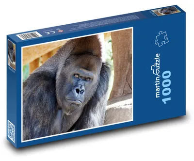 Obrázek produktu pro Puzzle 1000 Majestátní Gorila v Džungli - martinpuzzle