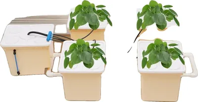 Immagine prodotto di Sistema di coltivazione idroponica, set da 5 vasche, per uso interno, colore bianco