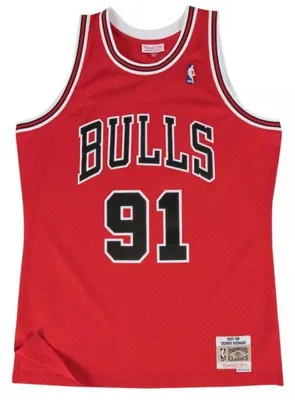 Image de Maillot NBA Dennis Rodman Chicago Bulls 1997-98 Mitchell & ness Hardwood Classic