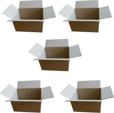 Produktbild von 5 kleine Verpackungsboxen 16 x 12 x 11 cm