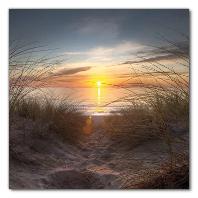 Produktbild von Wallario selbstklebende Möbelfolie/ Tischdecke für Innen und Außen, Größe: 50 x 50 cm - Sonnenuntergang am Strand