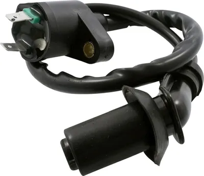 Produktbild von 12V Zündspule Kerzenstecker Zündkabel REX RS450 Baotian BT49QT Ecobike YIYING
