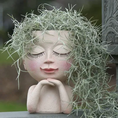 Produktbild von Niedliche Sukkulenten Blumentopf - Kawaii Gesicht Topf mit Abflussloch