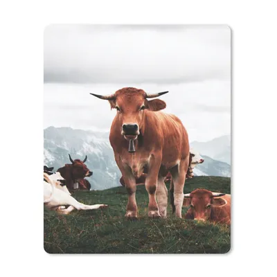 Produktbild von MuchoWow® Mauspad Mousepad Tiere - Kuh - Berg 19x23 cm - Mousepads - Maus Mat - Pad - Mausunterlage - Mauspads - Spielen
