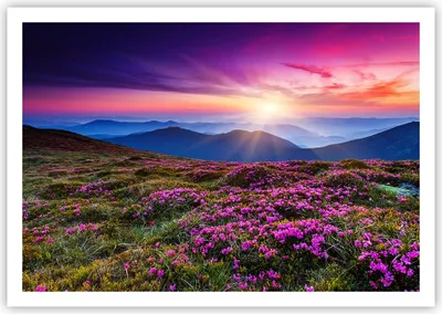 Produktbild von Poster - Poster ohne Rahmen - Wiese Berg Himmel Landschaft - 100x70 cm - Wand Bild - Wanddeko - Wandbilder - Kunstposter - Wandposter - Bilder - Kunstdruck - Wandbild - P2XAA100x70-2719