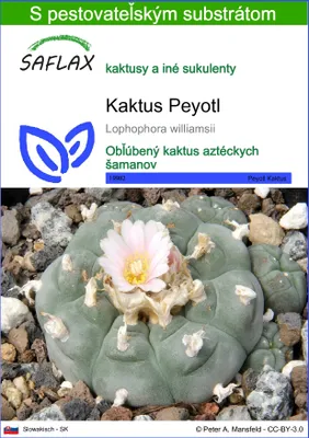 Produktbild von SAFLAX - Kaktus Peyotl - Lophophora williamsii - 20 Semená - S pestovateľským substrátom bez klíčkov