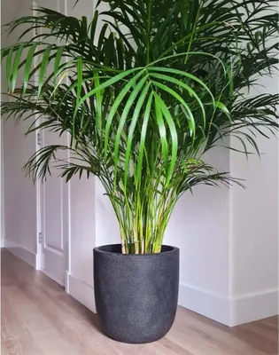 Produktbild von Capi Blumentopf Waste Smooth 43x41 cm Grau
