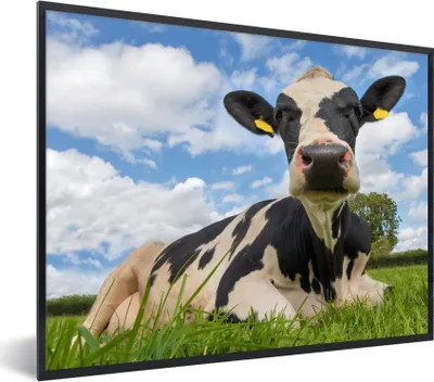 Produktbild von MuchoWow® MuchoWow® Gerahmtes Poster Kuh - Gras - Himmel 40x30 cm - Poster mit zchwarzem Bilderrahmen - Kunstposter - Wanddekorationen
